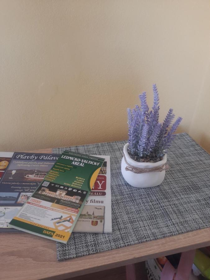 Apartman Sandra Valtice Zewnętrze zdjęcie