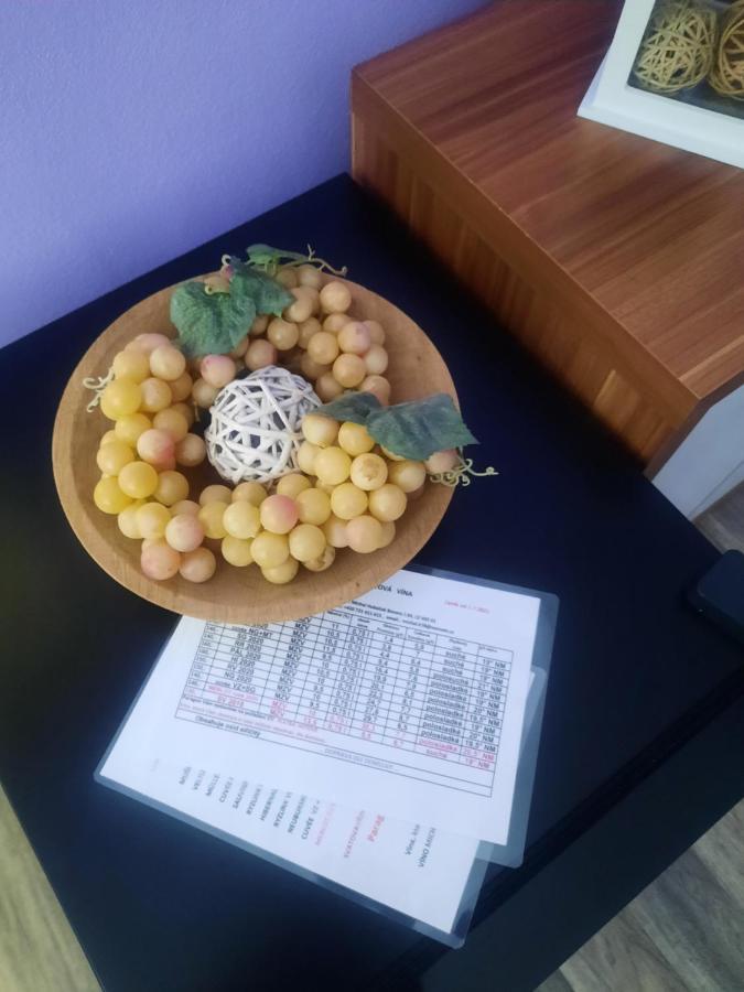 Apartman Sandra Valtice Zewnętrze zdjęcie